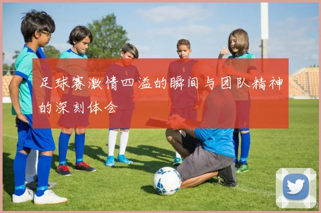 足球赛激情四溢的瞬间与团队精神的深刻体会