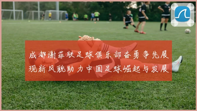 成都谢菲联足球俱乐部奋勇争先展现新风貌助力中国足球崛起与发展