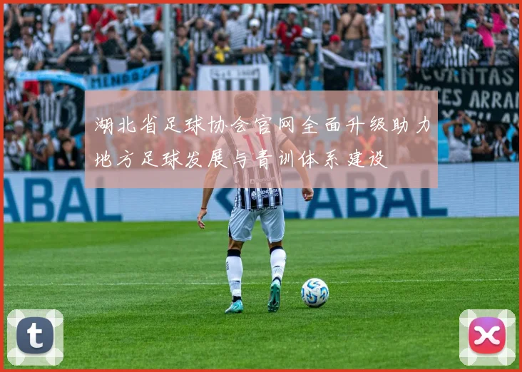 湖北省足球协会官网全面升级助力地方足球发展与青训体系建设