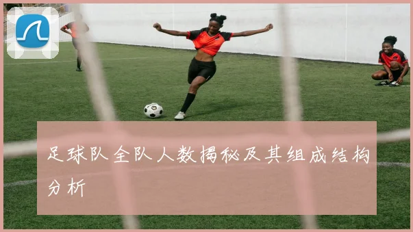 足球队全队人数揭秘及其组成结构分析